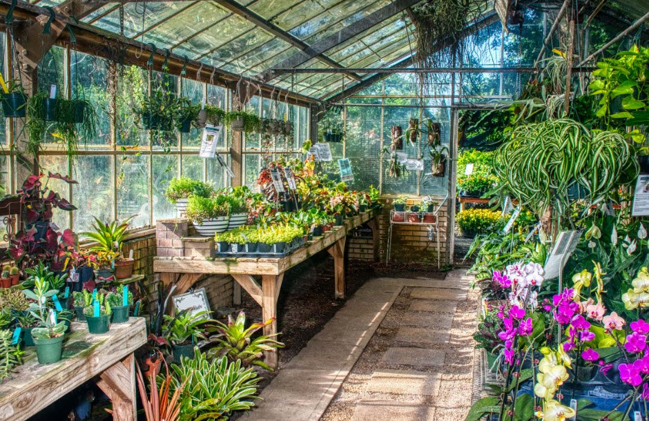 USF Botanical Gardens, United States